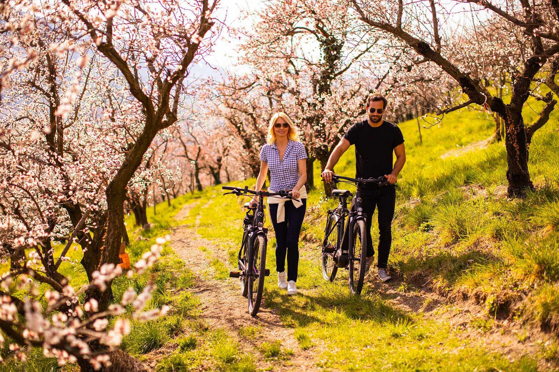 Rad Tour durch Apfelblüten 